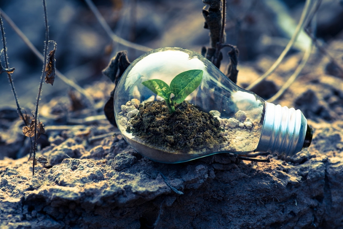 Desenvolvimento Sustentável: a Década da Ação é agora